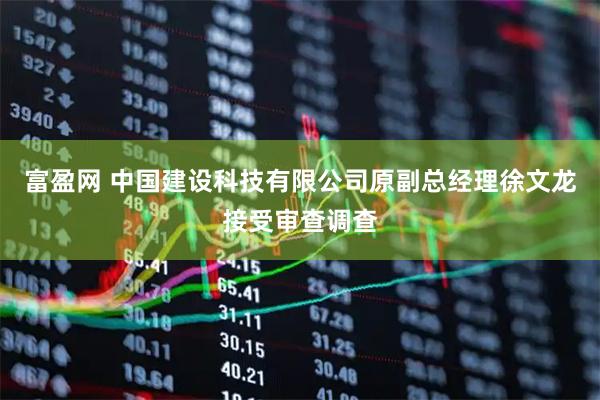 富盈网 中国建设科技有限公司原副总经理徐文龙接受审查调查