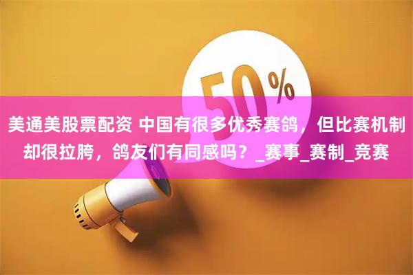 美通美股票配资 中国有很多优秀赛鸽，但比赛机制却很拉胯，鸽友们有同感吗？_赛事_赛制_竞赛